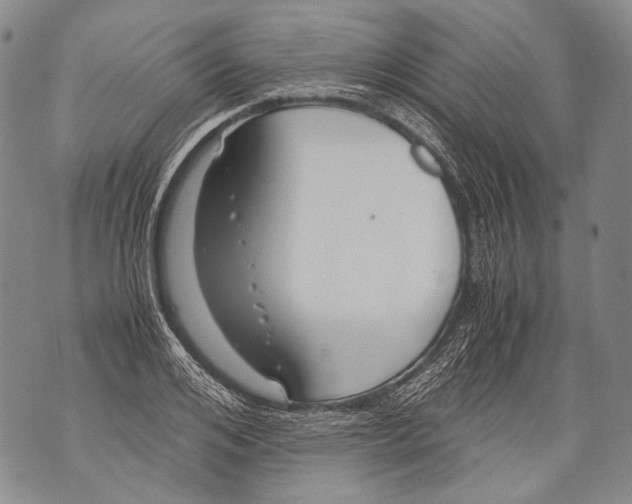 X0000071840984200607290103