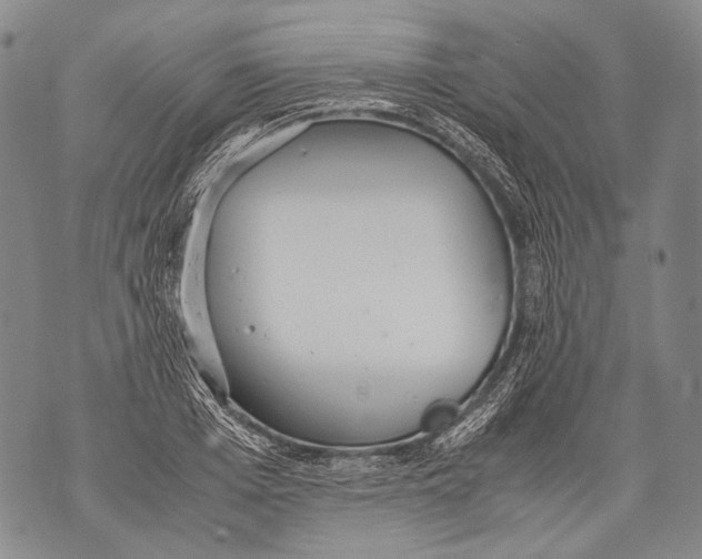 X0000071840985200607290103