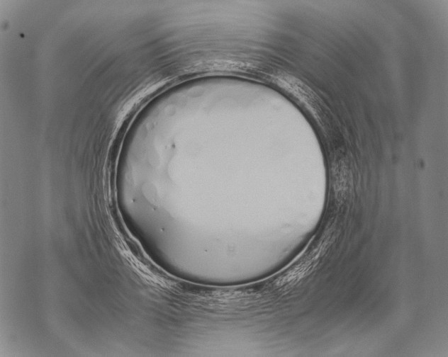 X0000071840987200607290103