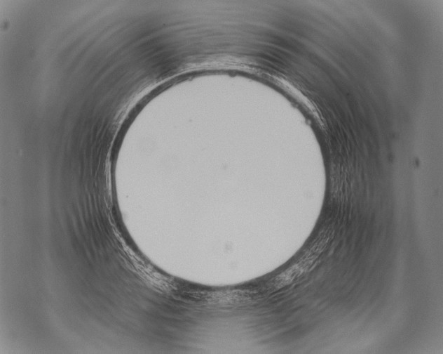 X0000071840988200607290103