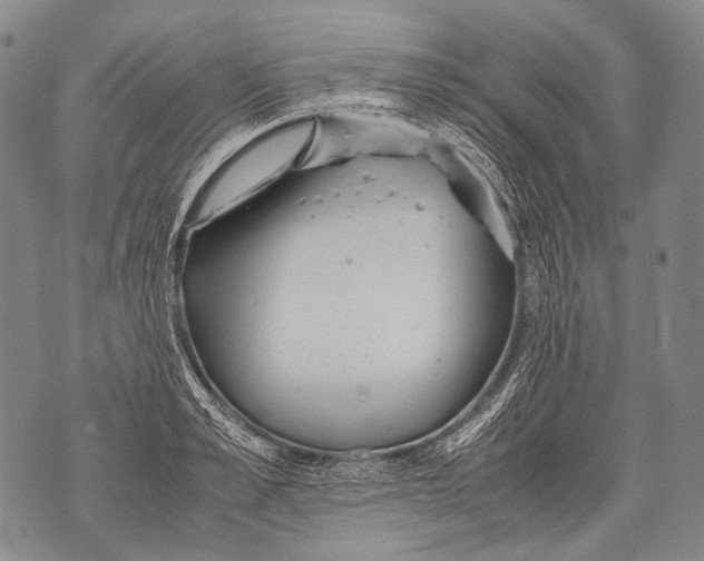 X0000071840989200607290103