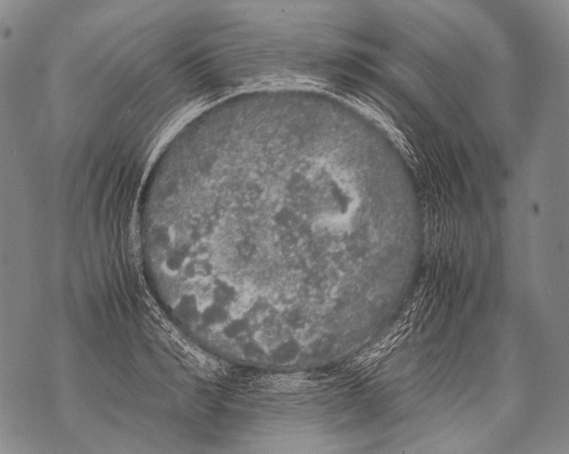 X0000071840990200607290103