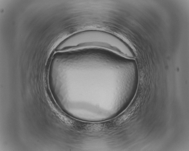 X0000071840991200607290103