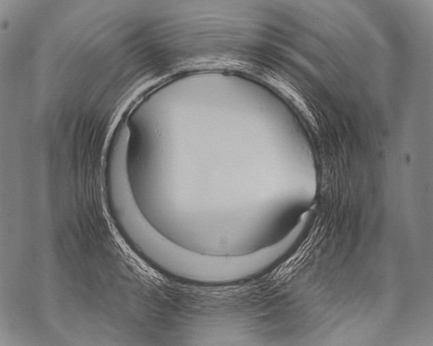 X0000071840992200607290103