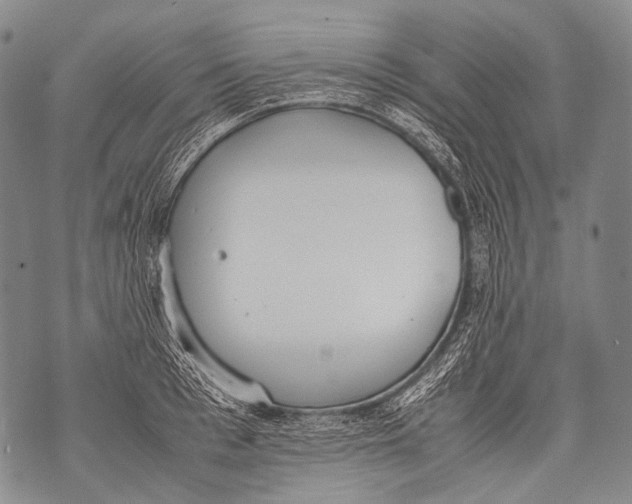 X0000071840993200607290103