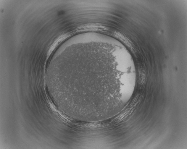 X0000071840994200607290103