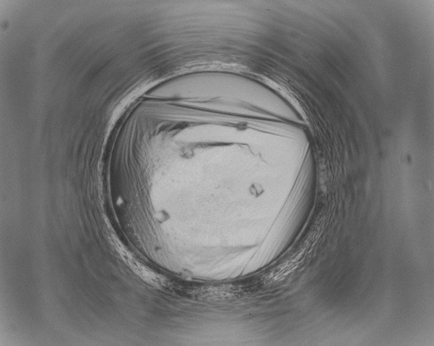 X0000071840995200607290103