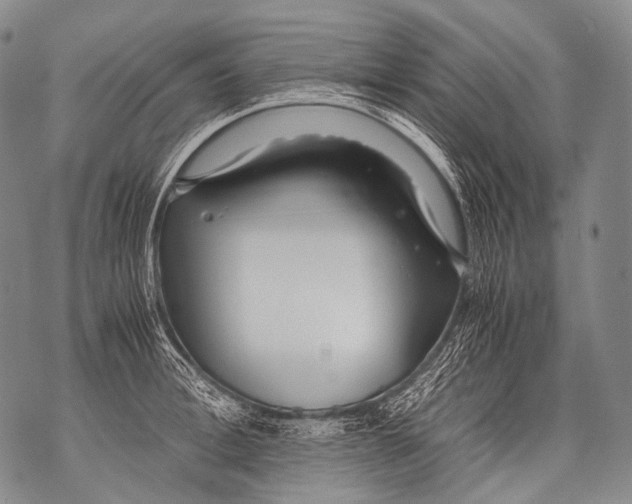 X0000071840996200607290103