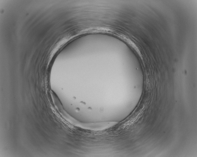 X0000071840997200607290103