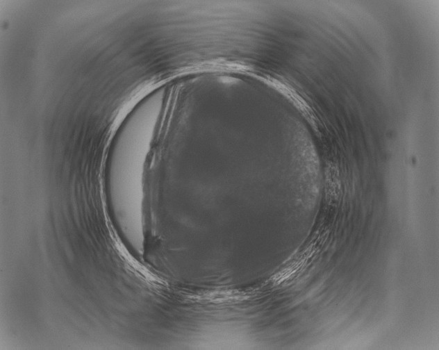 X0000071840998200607290103