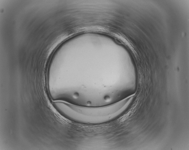 X0000071840999200607290103