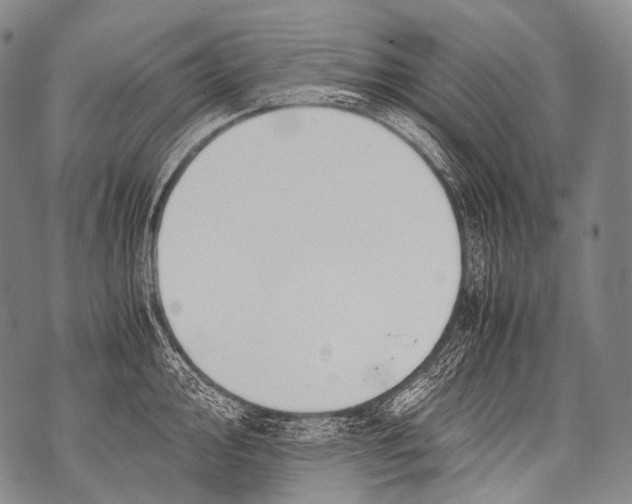 X0000071841000200607290103