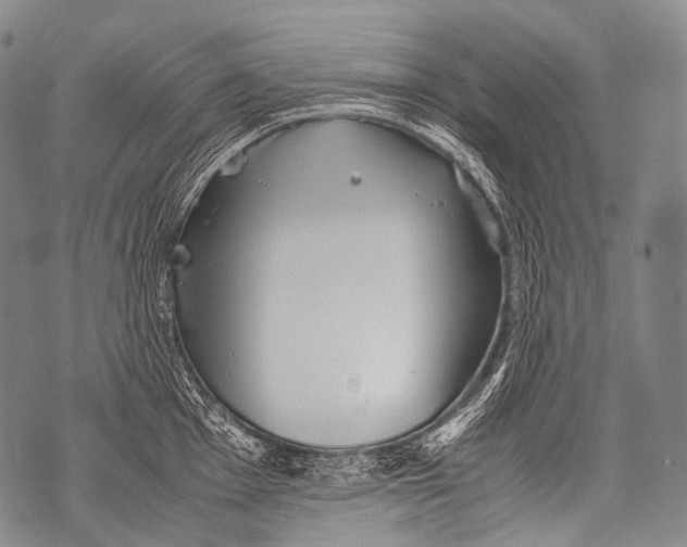 X0000071841001200607290103