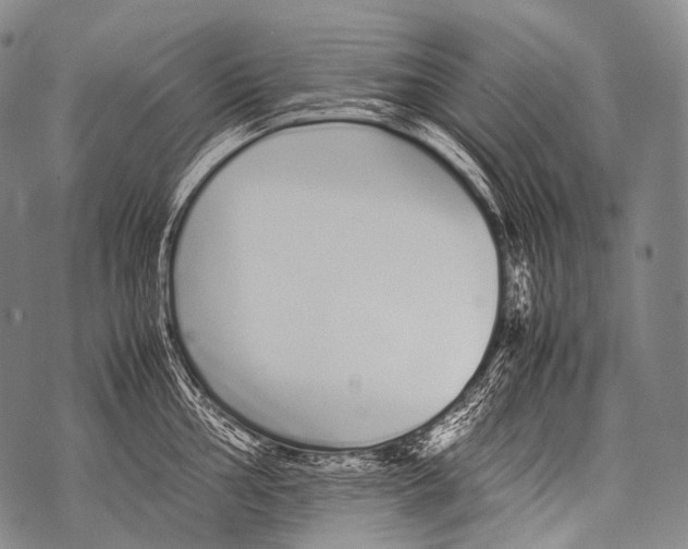 X0000071841002200607290103