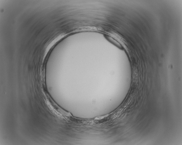 X0000071841003200607290103