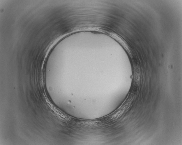 X0000071841004200607290103