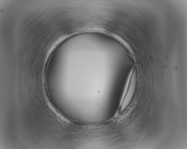 X0000071841005200607290103