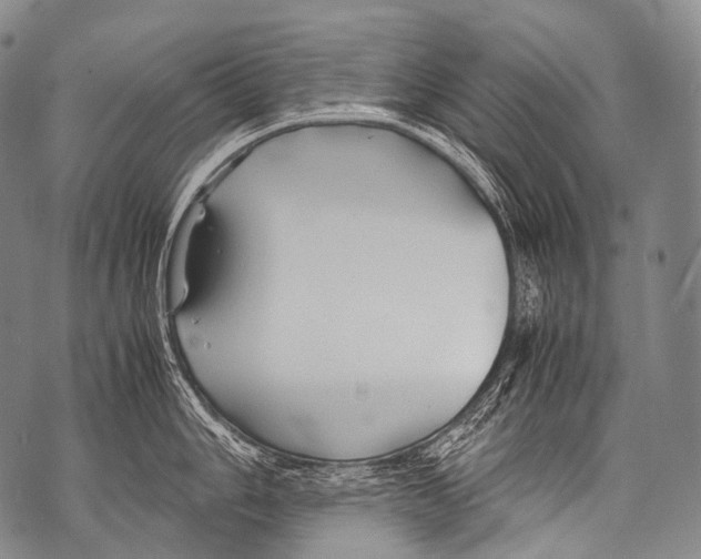 X0000071841006200607290103