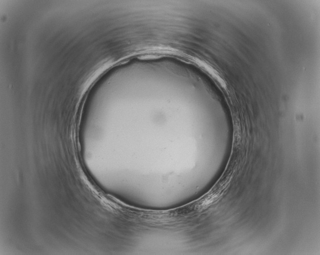 X0000071841007200607290103