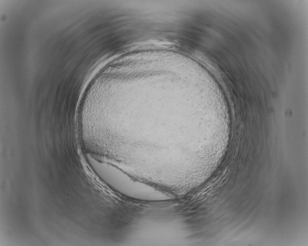 X0000071841008200607290103