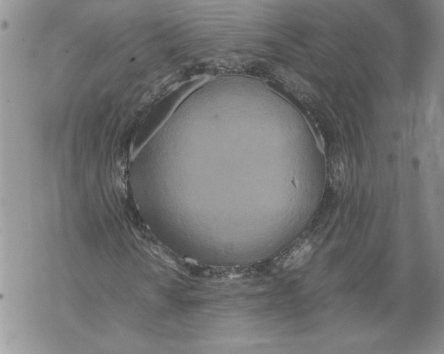 X0000071841010200607290102