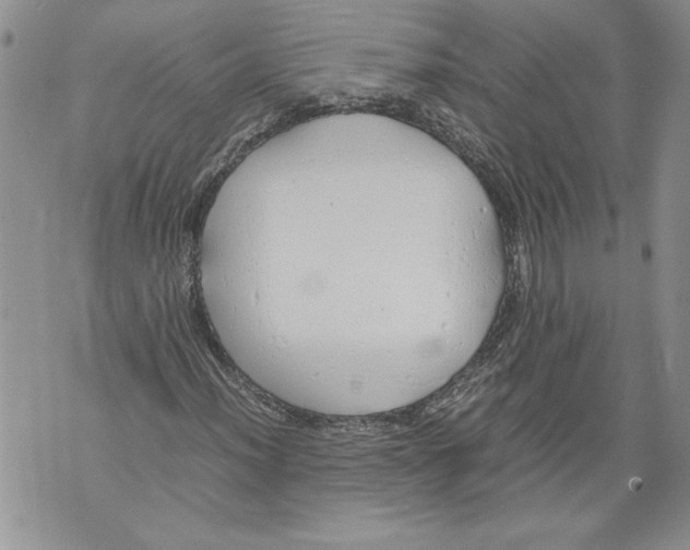 X0000071841012200607290102