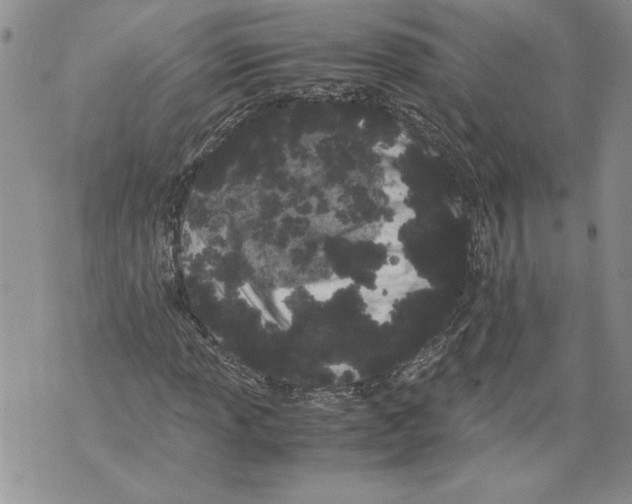 X0000071841013200607290102