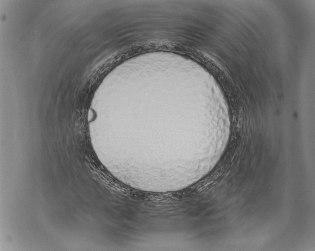 X0000071841015200607290102