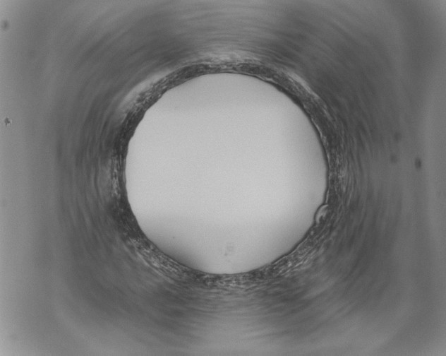 X0000071841016200607290102