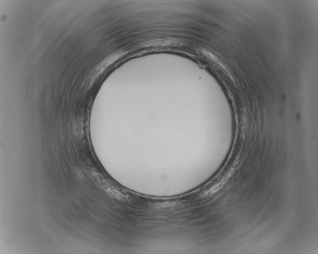 X0000071841017200607290102