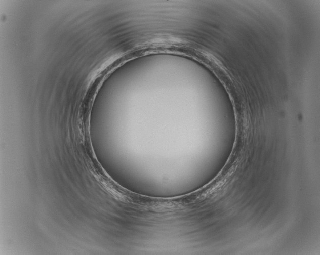 X0000071841018200607290102