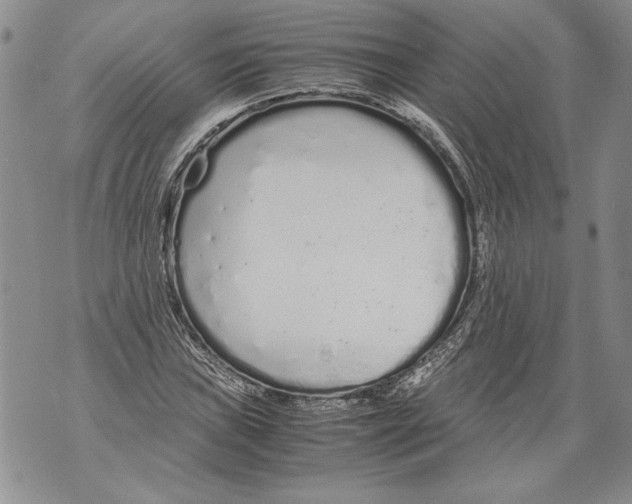 X0000071841019200607290102