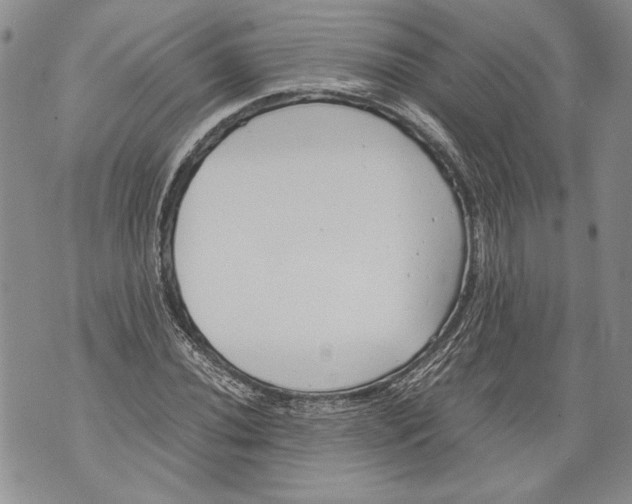 X0000071841020200607290102