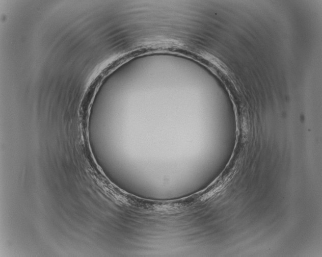 X0000071841022200607290102