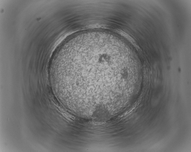 X0000071841023200607290102