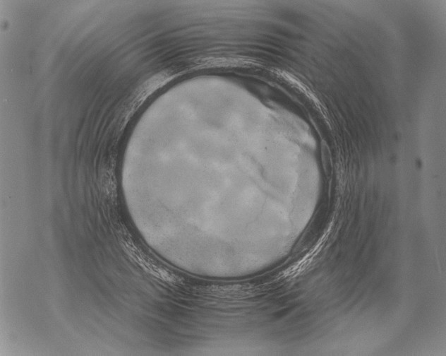 X0000071841025200607290102