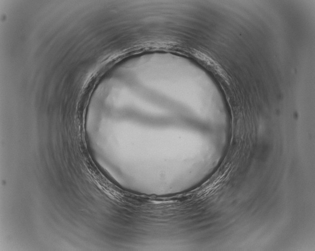 X0000071841027200607290102