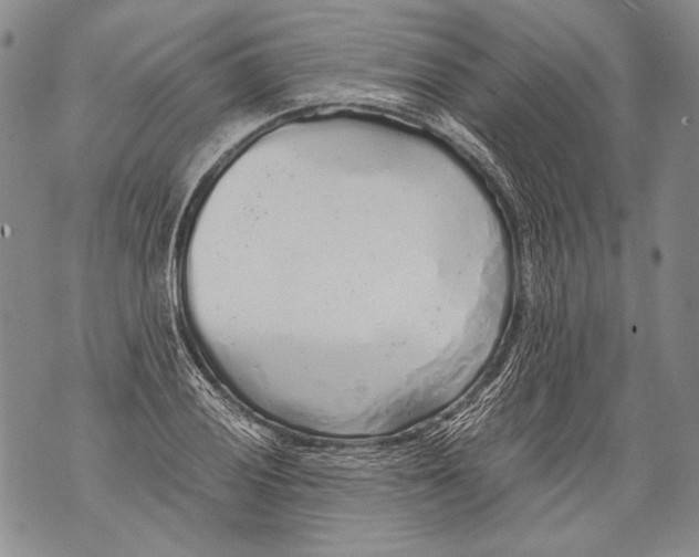 X0000071841028200607290102