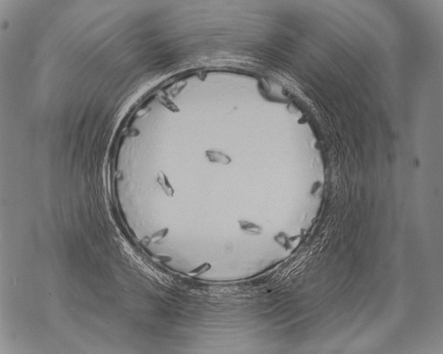 X0000071841032200607290102