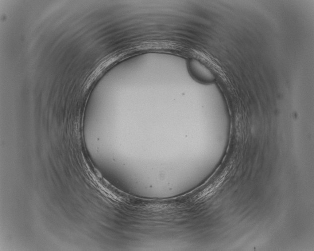 X0000071841033200607290102