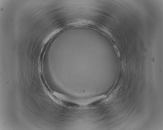 X0000071841034200607290102