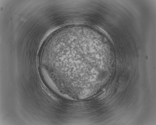 X0000071841035200607290102