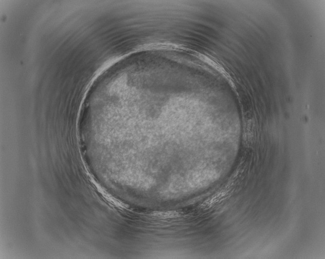 X0000071841037200607290102