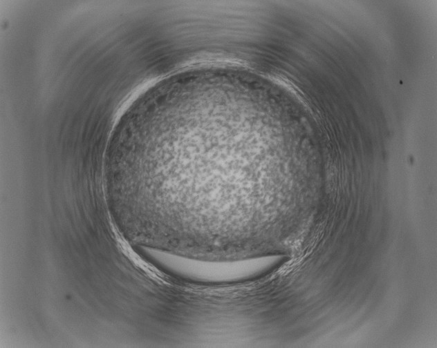 X0000071841038200607290102