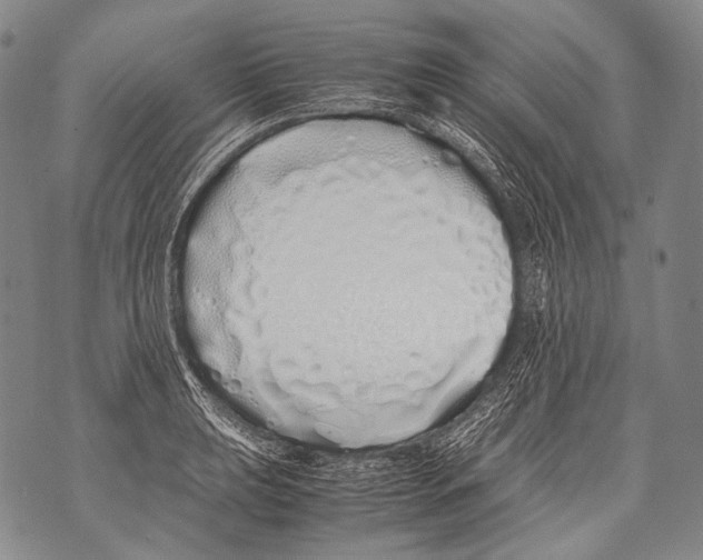 X0000071841039200607290102