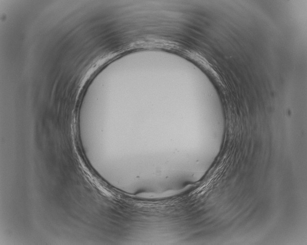 X0000071841040200607290102