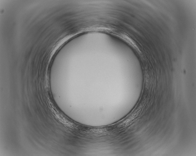 X0000071841044200607290102