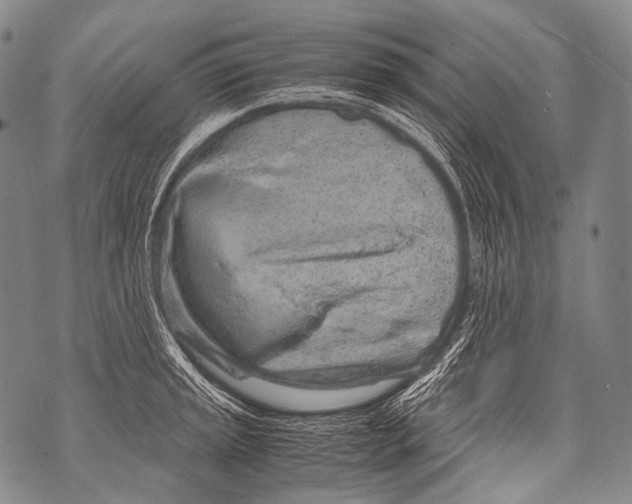 X0000071841045200607290102