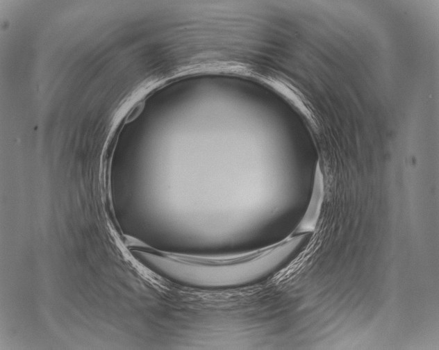 X0000071841046200607290102