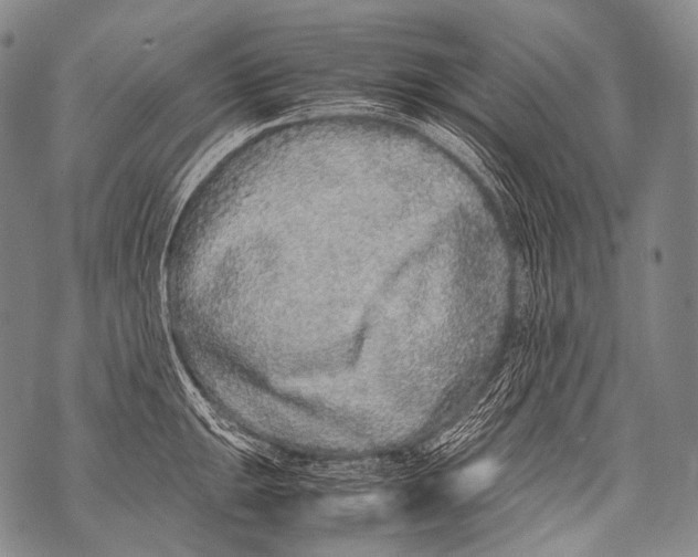 X0000071841047200607290103